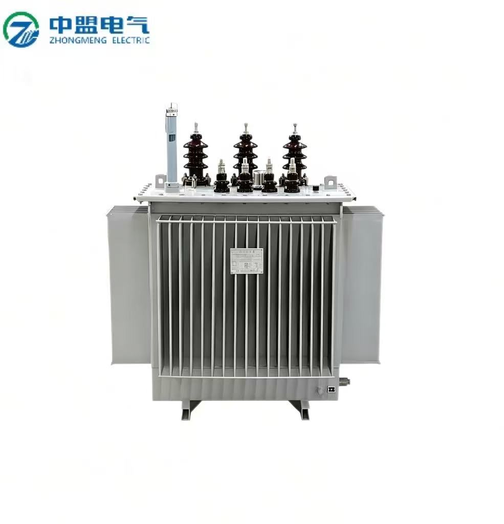 100kVA 10kV Oil-immersed Transformer with Laminated Core